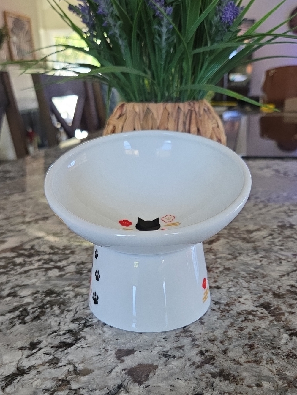 Necoichi Tilted Food Bowl